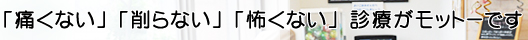 「痛くない」「削らない」「怖くない」診療がモットーです