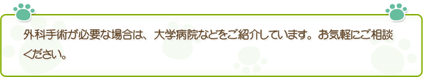 外科手術が必要な場合は、大学病院などをご紹介しています。お気軽にご相談ください。