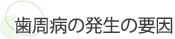 歯周病の発生の要因